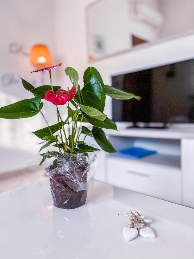 Myhouse Inn Torino - Affitti Brevi Italia Collegno Luaran gambar